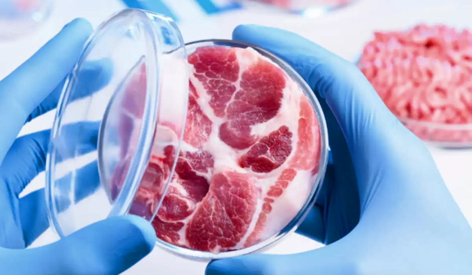 lab-grown meat